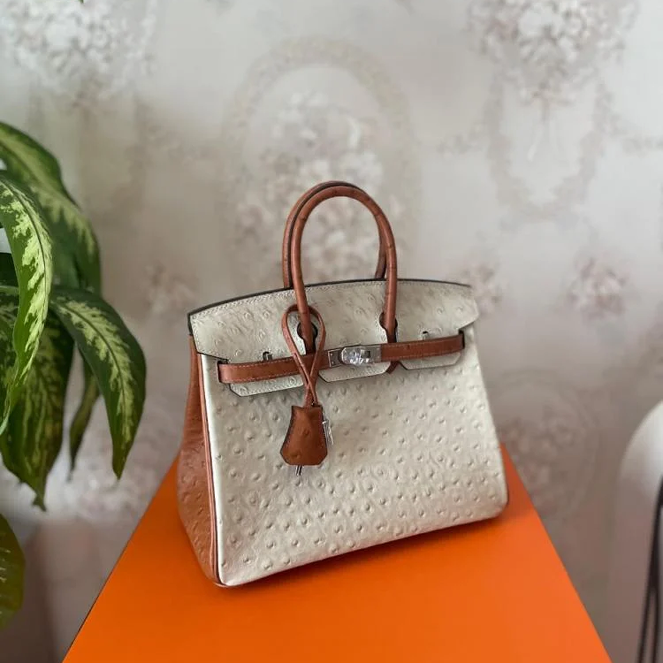 £25,000 Birkin Bag